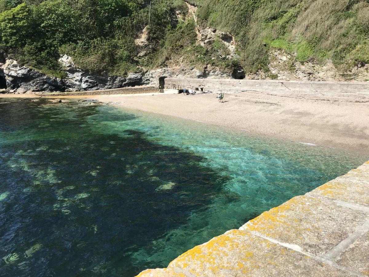 Starfish Cottage- Private Beach Access- Dog Friendly チャールズタウン エクステリア 写真